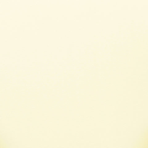 Sezanne Cream Vegan Leather Dining Chair Model: TOV-D69057