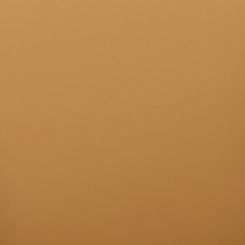 Leo Tan Performance Vegan Leather Dining Chair Model: TOV-D69152