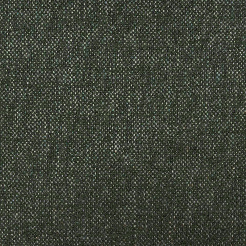 Tiara Forest Green Performance Basketweave Fabric Dining Chair Model: TOV-D69245