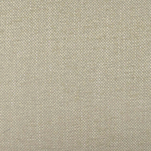 Tiara Cream Performance Basketweave Fabric Dining Chair Model: TOV-D69246