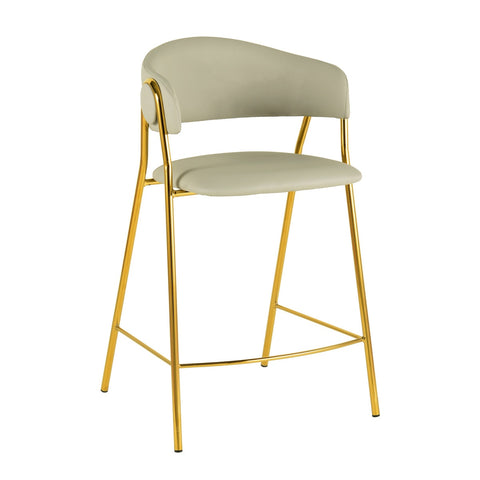 Lara Cream Performance Vegan Leather Counter Stool by Inspire Me! Home Decor - Set of 2 Model: TOV-IHD68560