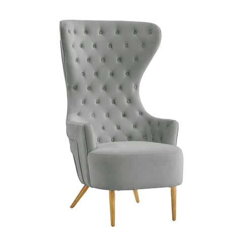 Jezebel Grey Velvet Wingback Chair by Inspire Me! Home Decor Model: TOV-IHS68207