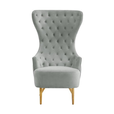 Jezebel Grey Velvet Wingback Chair by Inspire Me! Home Decor Model: TOV-IHS68207