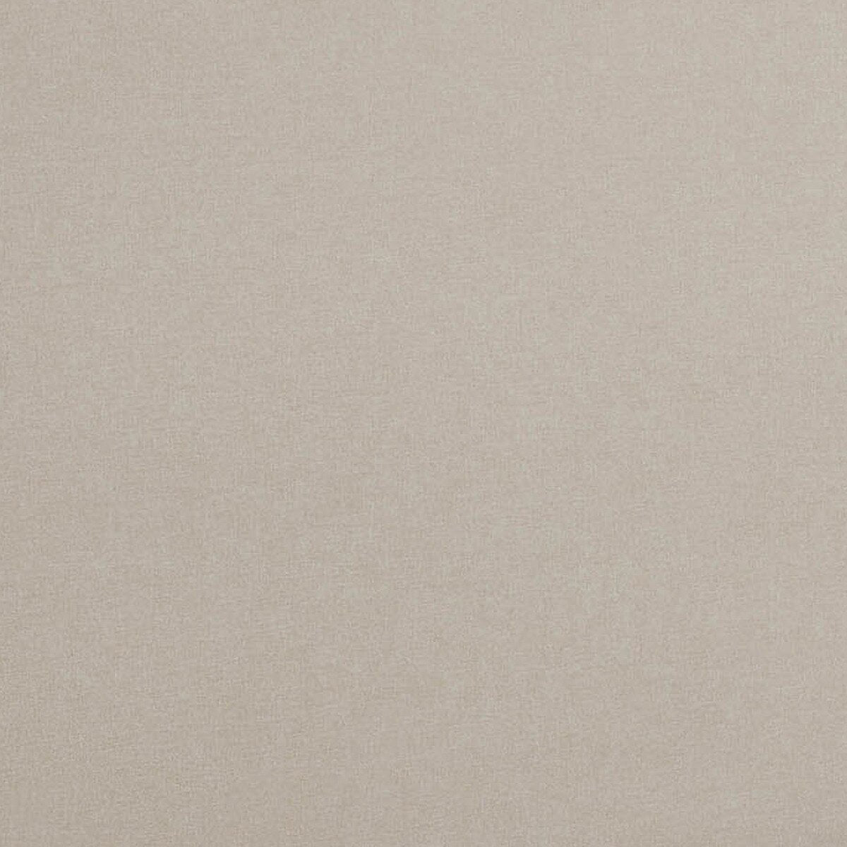 Hangover Cream Performance Linen Modular Loveseat Model: TOV-L68788-LS