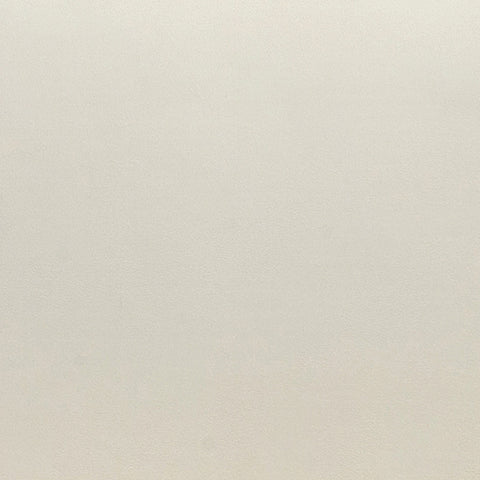 Azalea Cream Velvet Sofa Model: TOV-L69076