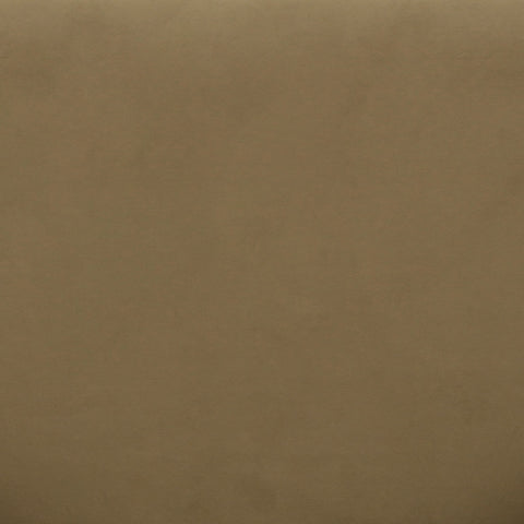 Lou Cafe Au Lait Performance Velvet Sofa Model: TOV-L69089