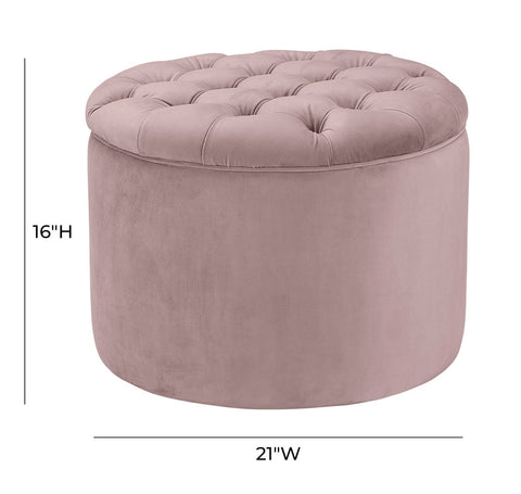 Queen Blush Velvet Storage Ottoman Model: TOV-OC146