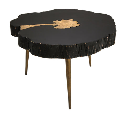 Timber Black and Brass Coffee Table Model: TOV-OC18167