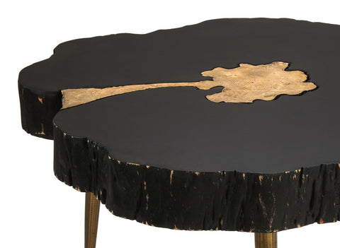 Timber Black and Brass Coffee Table Model: TOV-OC18167