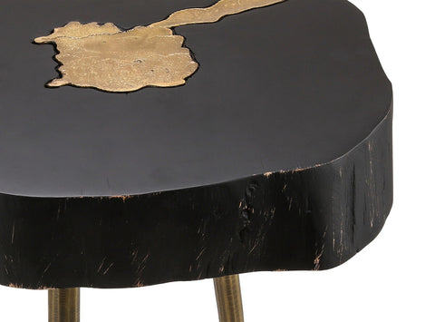 Timber Black and Brass Side Table Model: TOV-OC18169