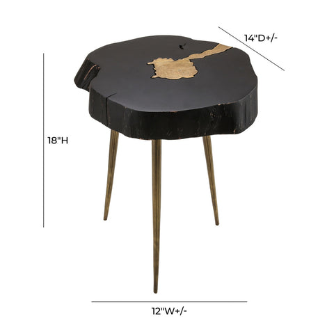Timber Black and Brass Side Table Model: TOV-OC18169