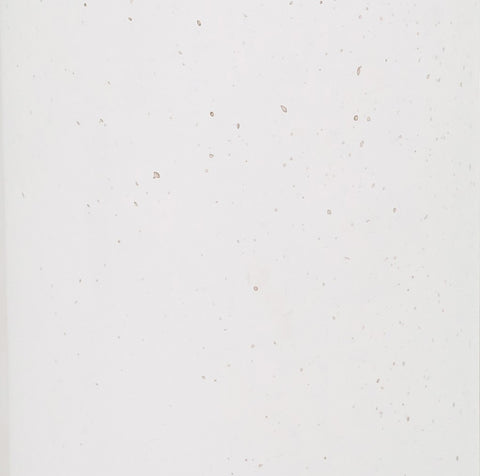 Tildy White Concrete Indoor / Outdoor Round Side Table Model: TOV-OC44176