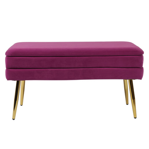Ziva Plum Storage Bench Model: TOV-OC6464