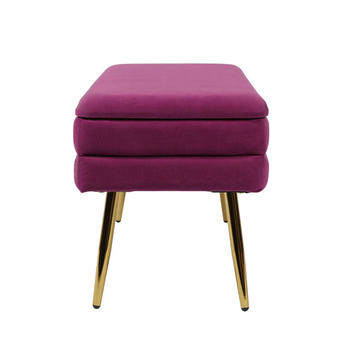 Ziva Plum Storage Bench Model: TOV-OC6464