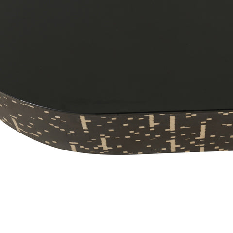 Faye Black Glass Coffee Table Model: TOV-OC68586