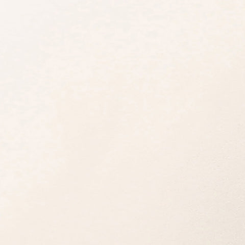 Leigh Cream Velvet Channeled Bench Model: TOV-OC68824