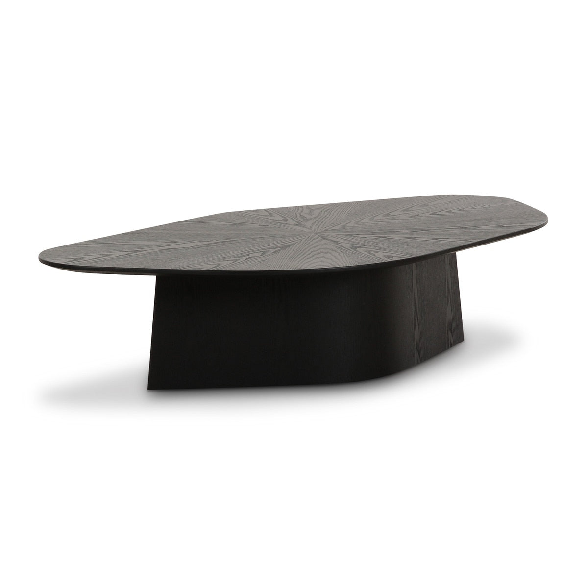 Roche Black Ash Low Coffee Table Model: TOV-OC69085