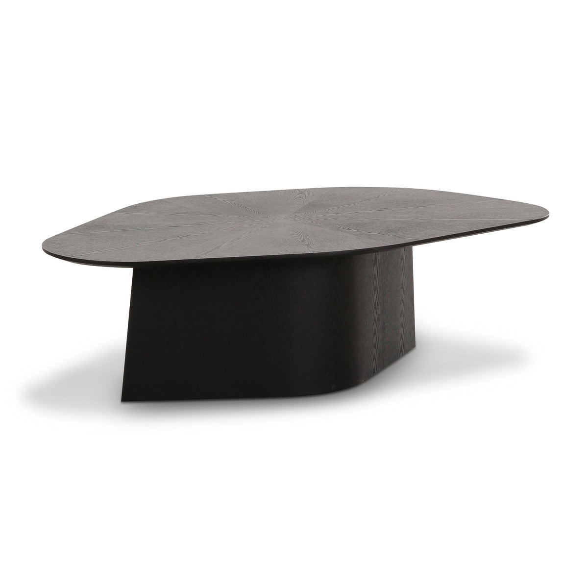 Roche Black Ash Geometric Coffee Table Model: TOV-OC69086