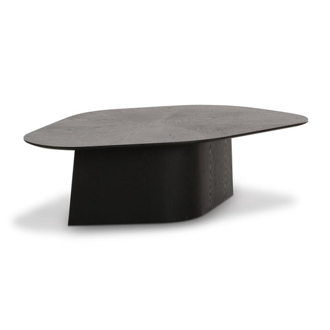 Roche Black Ash Geometric Coffee Table Model: TOV-OC69086