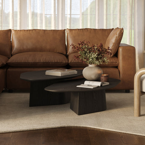 Roche Black Ash Geometric Coffee Table Model: TOV-OC69086