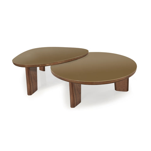 Oani Walnut and Glass Triangular Coffee Table Model: TOV-OC69239