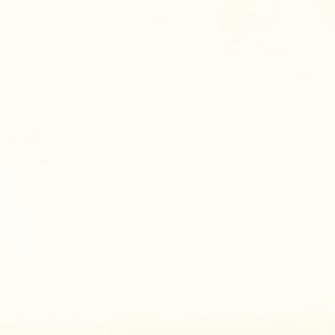 Sloane Cream Velvet Chair Model: TOV-S44198