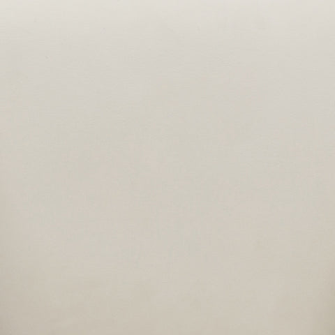 Jordan Cream Velvet Swivel Chair Model: TOV-S54373