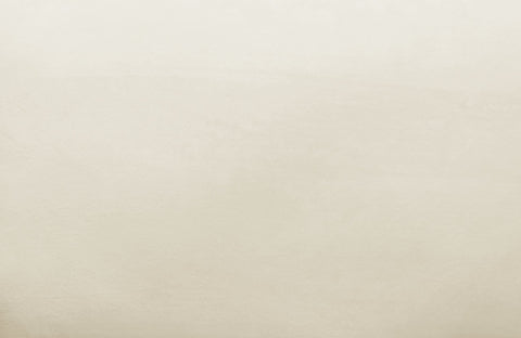 Avery Cream Velvet Chair Model: TOV-S68199