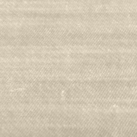 Austin Champagne Chair Model: TOV-S68386