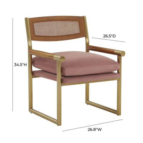 Harlow Rattan Mauve Velvet Chair Model: TOV-S68449
