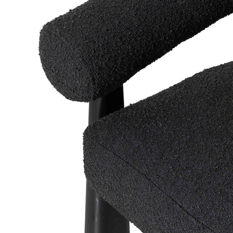Spara Black Performance Boucle Accent Chair Model: TOV-S69003