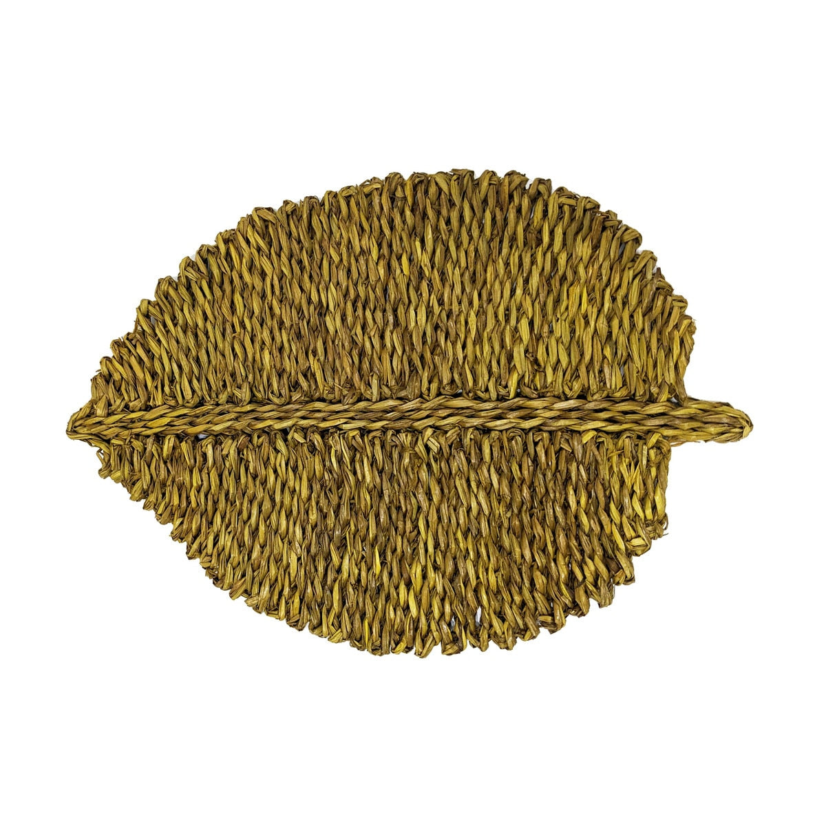Leaf Yellow Seagrass Placemat - Set of 4 Model: TOV-T54304