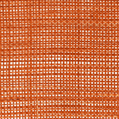 Peele Terracotta Seagrass Placemat - Set of 4 Model: TOV-T54306