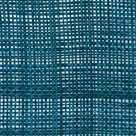 Peele Blue Seagrass Placemat - Set of 4 Model: TOV-T54307