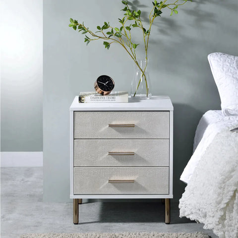 Myles White, Champagne & Gold Finish Nightstand Model AC00843 By ACME Furniture