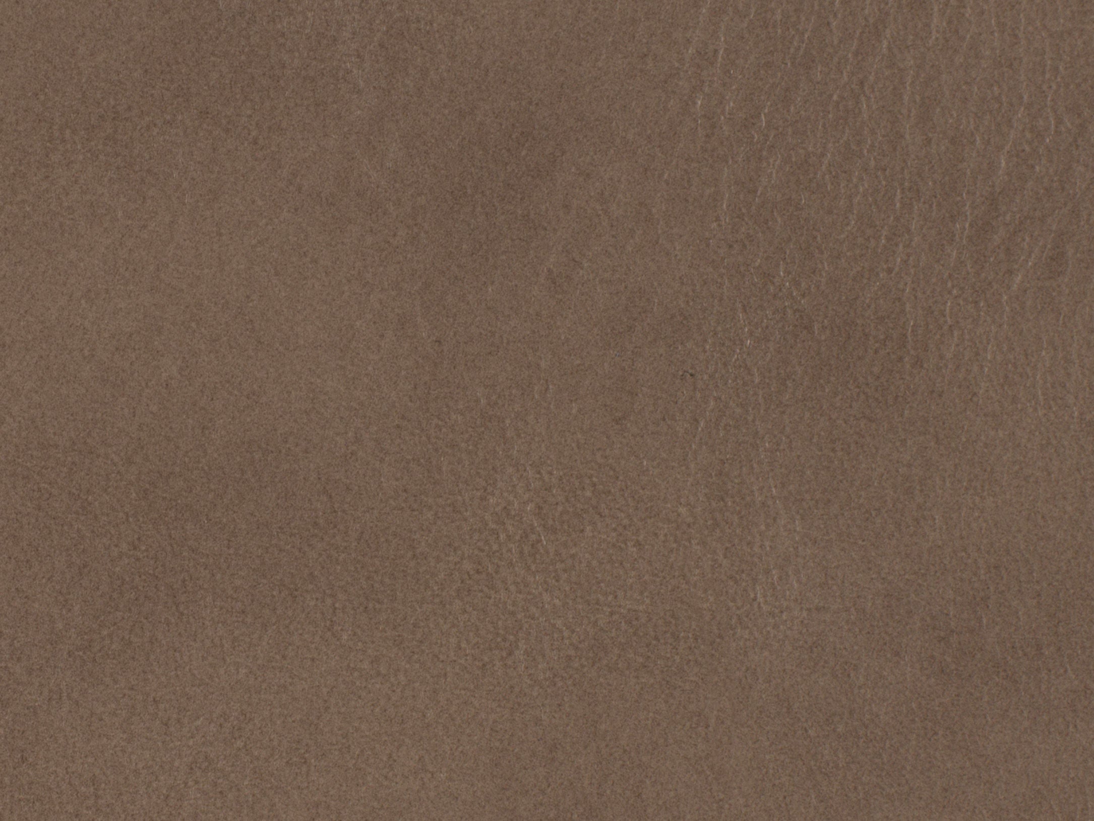 Hooker Furniture Living Room Caleigh Recliner