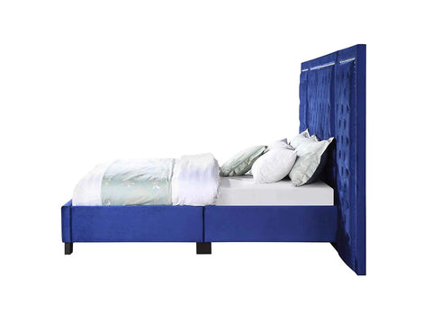 Damazy Blue Velvet Queen Bed Model BD00973Q By ACME Furniture