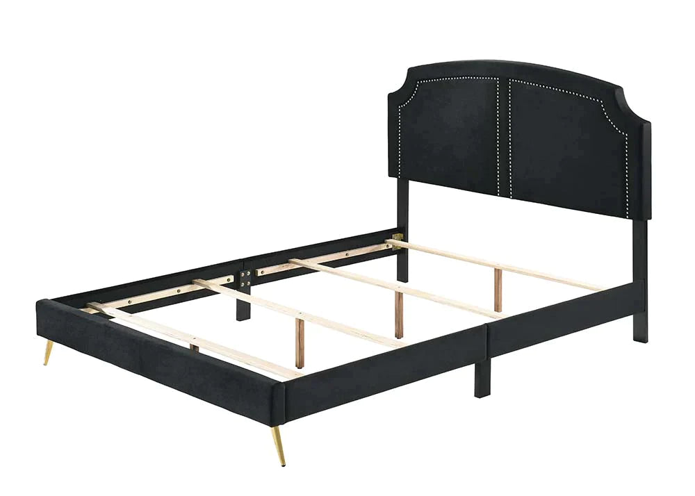 Zeena Black Velvet Queen Bed Model BD01176Q By ACME Furniture