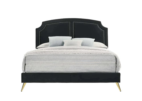 Zeena Black Velvet Queen Bed Model BD01176Q By ACME Furniture
