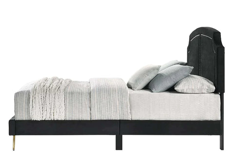 Zeena Black Velvet Queen Bed Model BD01176Q By ACME Furniture