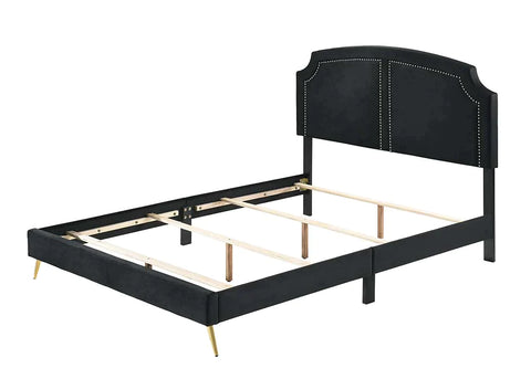 Zeena Black Velvet Queen Bed Model BD01176Q By ACME Furniture