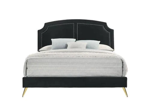 Zeena Black Velvet Eastern King Bed Model BD01271EK By ACME Furniture