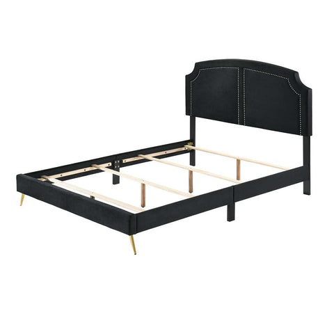 ACME Zeena Black Velvet Zeena Full Bed Model BD01461F