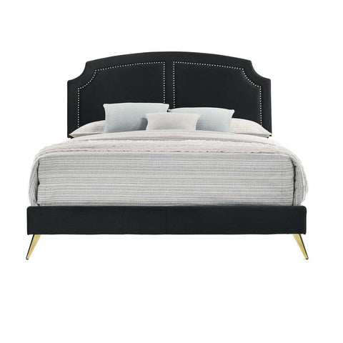 ACME Zeena Black Velvet Zeena Full Bed Model BD01461F