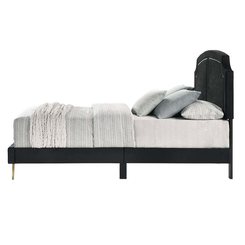 ACME Zeena Black Velvet Zeena Full Bed Model BD01461F