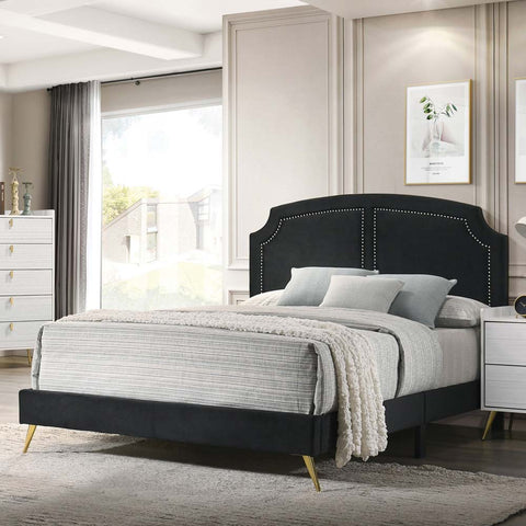 ACME Zeena Black Velvet Zeena Full Bed Model BD01461F