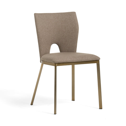 Modrest Burton Modern Beige & Brass Dining Chair (Set of 2) By VIG Furniture