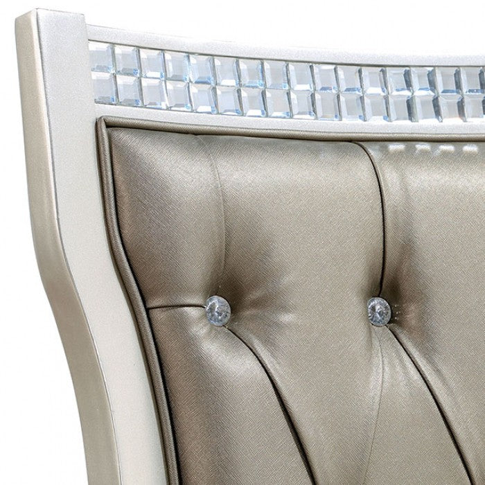 ADELINA SIDE CHAIR (2/BOX)