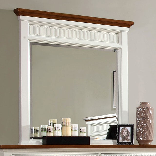 GALESBURG MIRROR