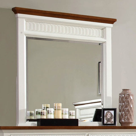 GALESBURG MIRROR
